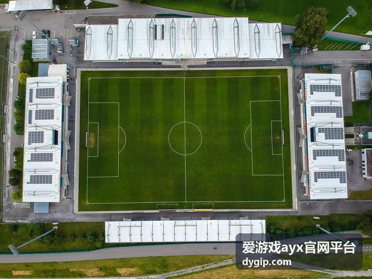 爱游戏ayx官网平台每日任务回馈权益