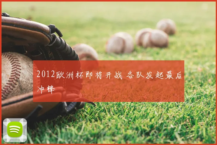 2012欧洲杯即将开战 各队发起最后冲锋