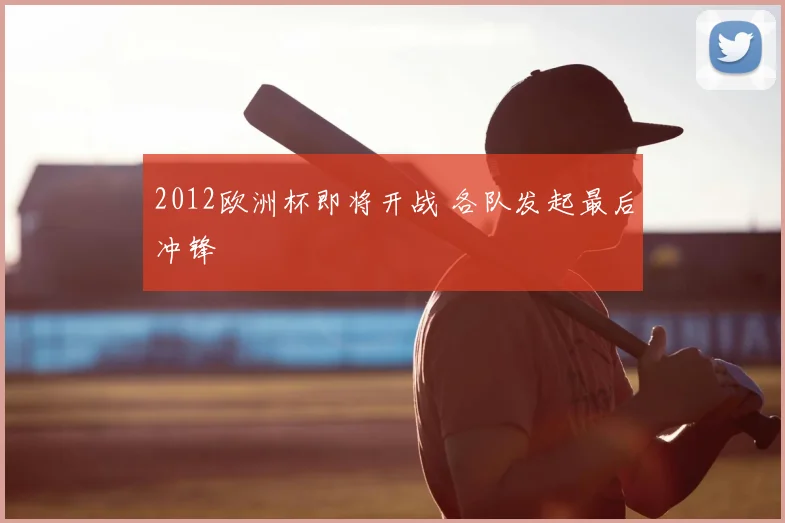 2012欧洲杯即将开战 各队发起最后冲锋