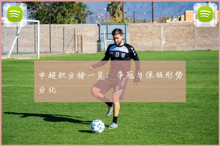 中超积分榜一览：争冠与保级形势分化