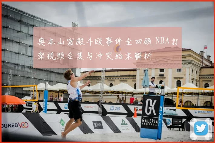 奥本山宫殿斗殴事件全回顾 NBA打架视频合集与冲突始末解析